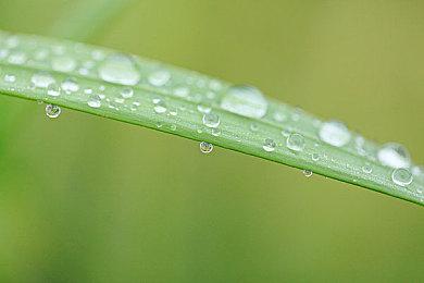 相聚墨西哥，《极限竞速：地平线5》情报速递